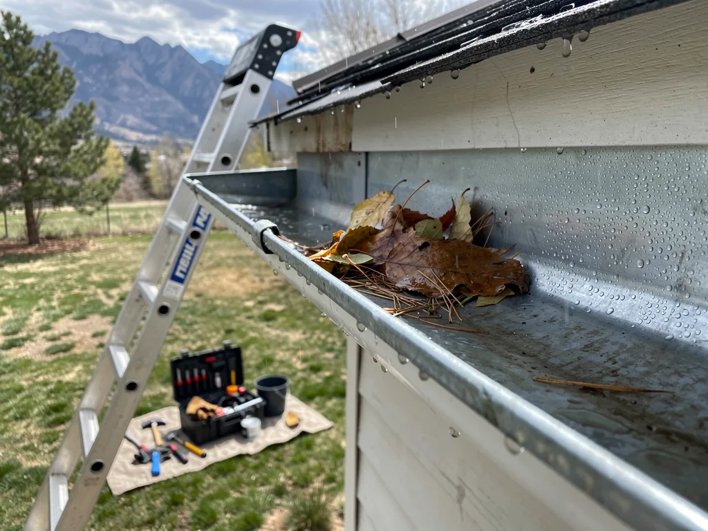 DIY vs when to call a pro for typical gutter service needs